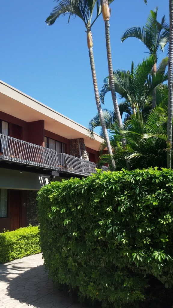 a994b-20160127_1120472bcopy