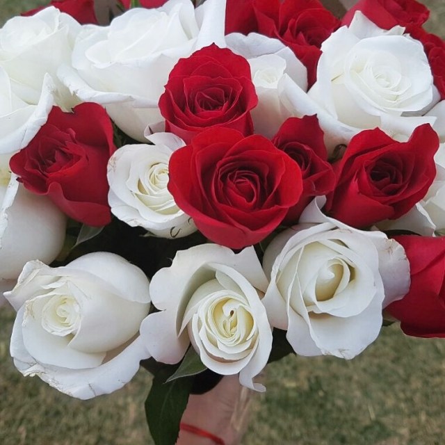 1f7fe844-d78b-43a3-a2d2-c98fd70945da