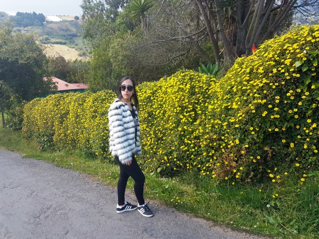 20170218_135134-copy