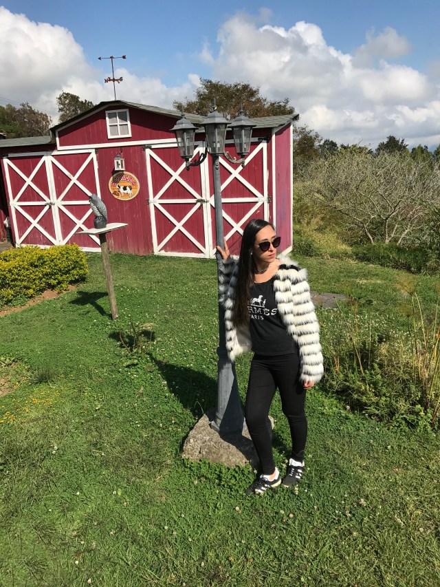 3590188d-b509-4a11-b10d-a941569d5b61